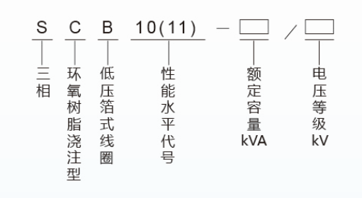 s(B)11-型號含義.png